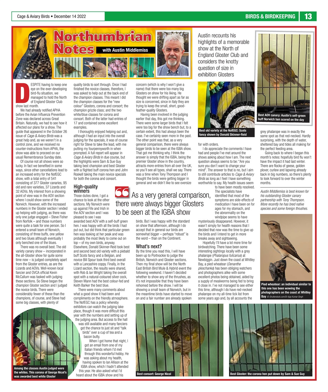 Cage & Aviary Birds Preview Pages