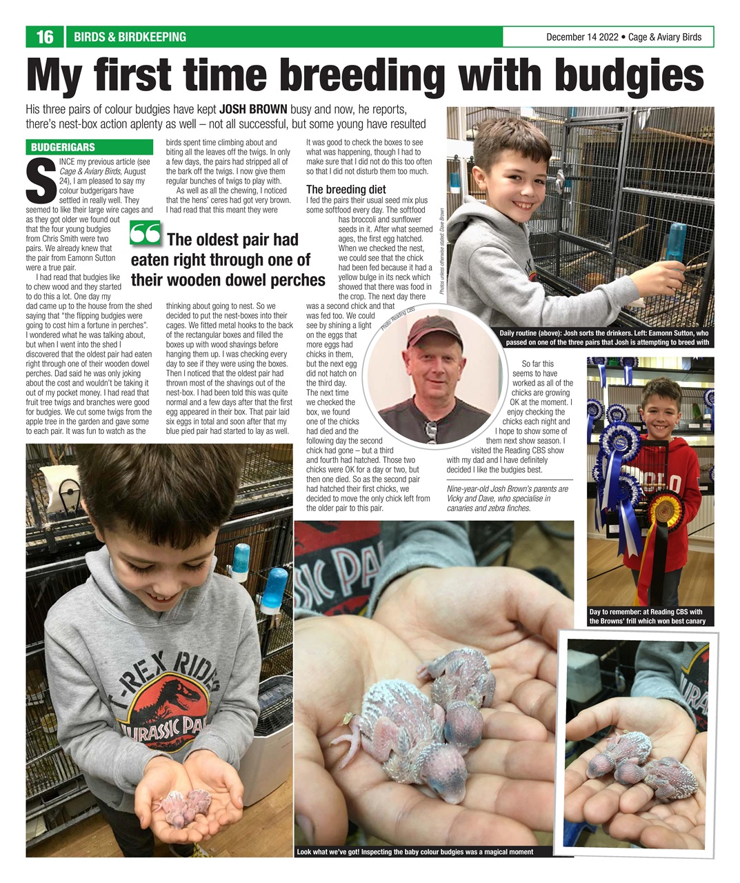 Cage & Aviary Birds Preview Pages