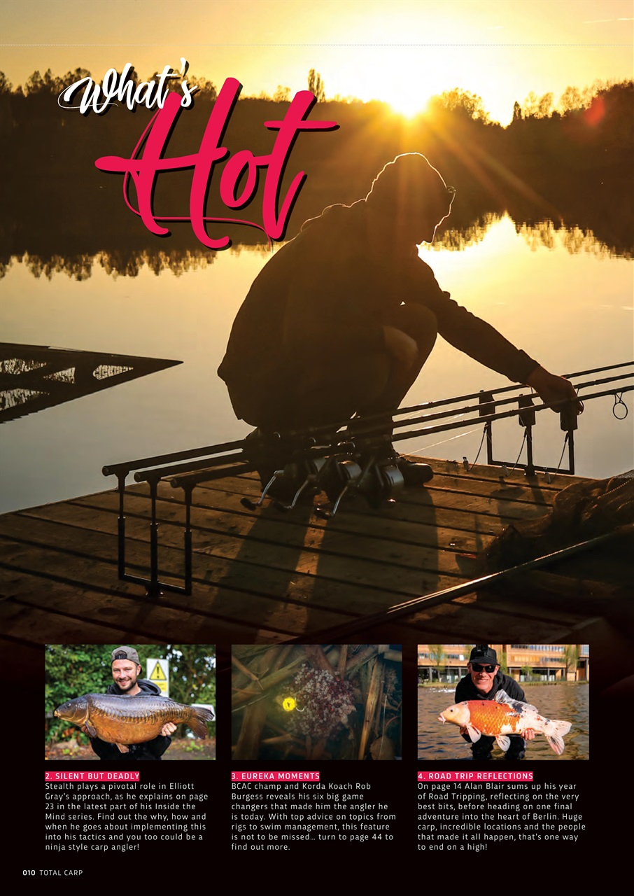 Total Carp Preview Pages