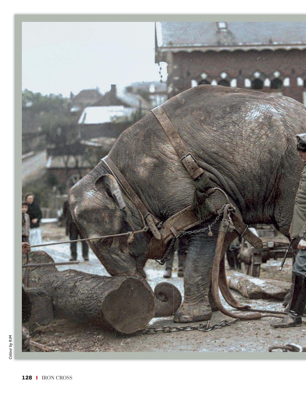 Iron Cross Preview Pages