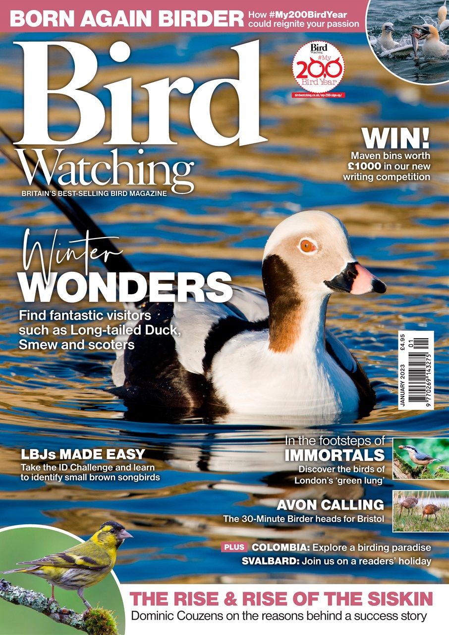 Bird Watching Preview Pages