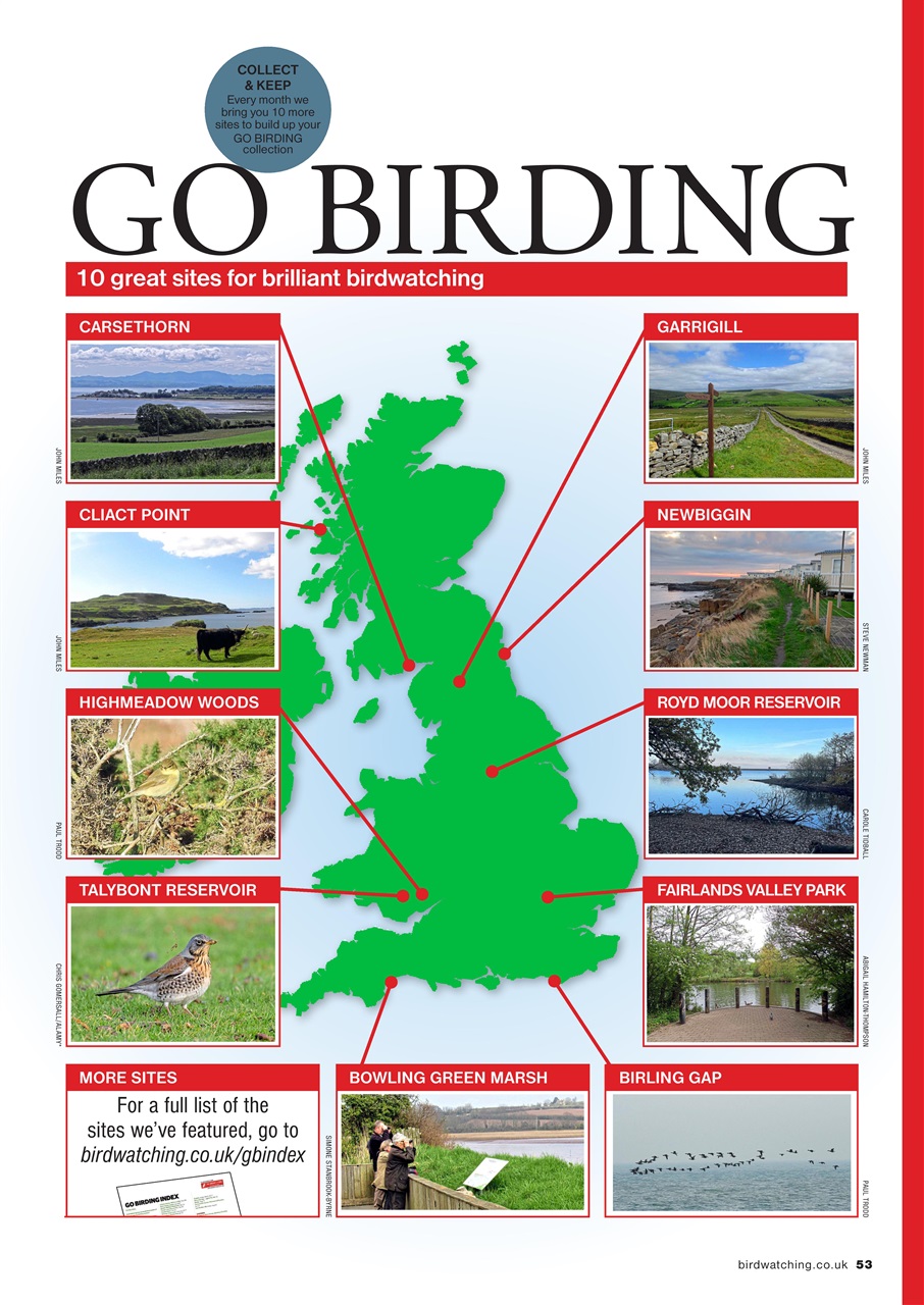Bird Watching Preview Pages