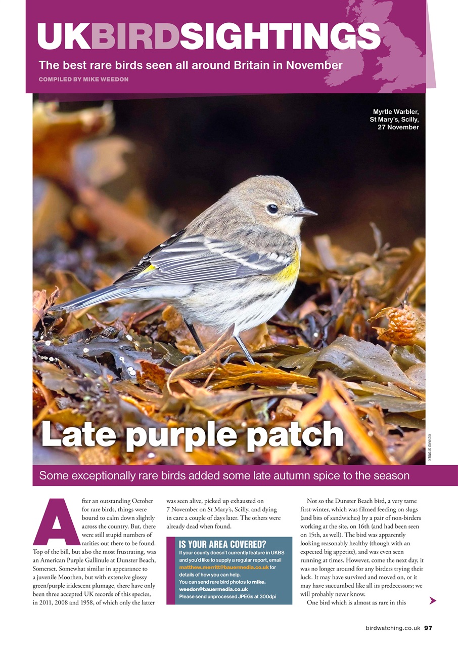 Bird Watching Preview Pages