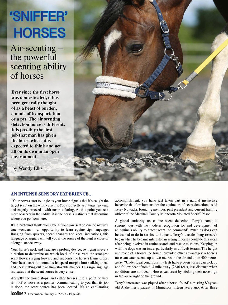 Hoofbeats Preview Pages