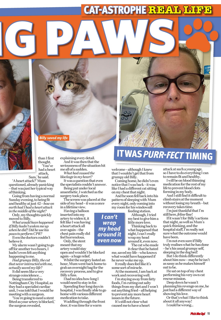 Pick Me Up Preview Pages