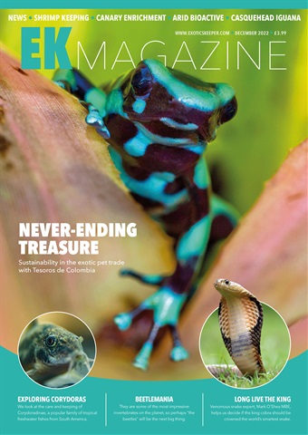 Exotics Keeper issue December 2022