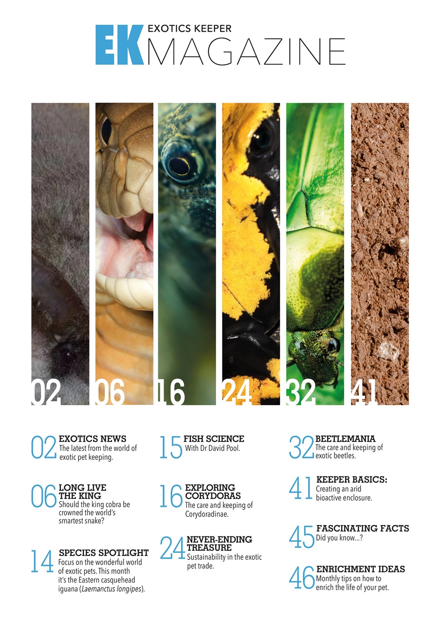 Exotics Keeper Preview Pages