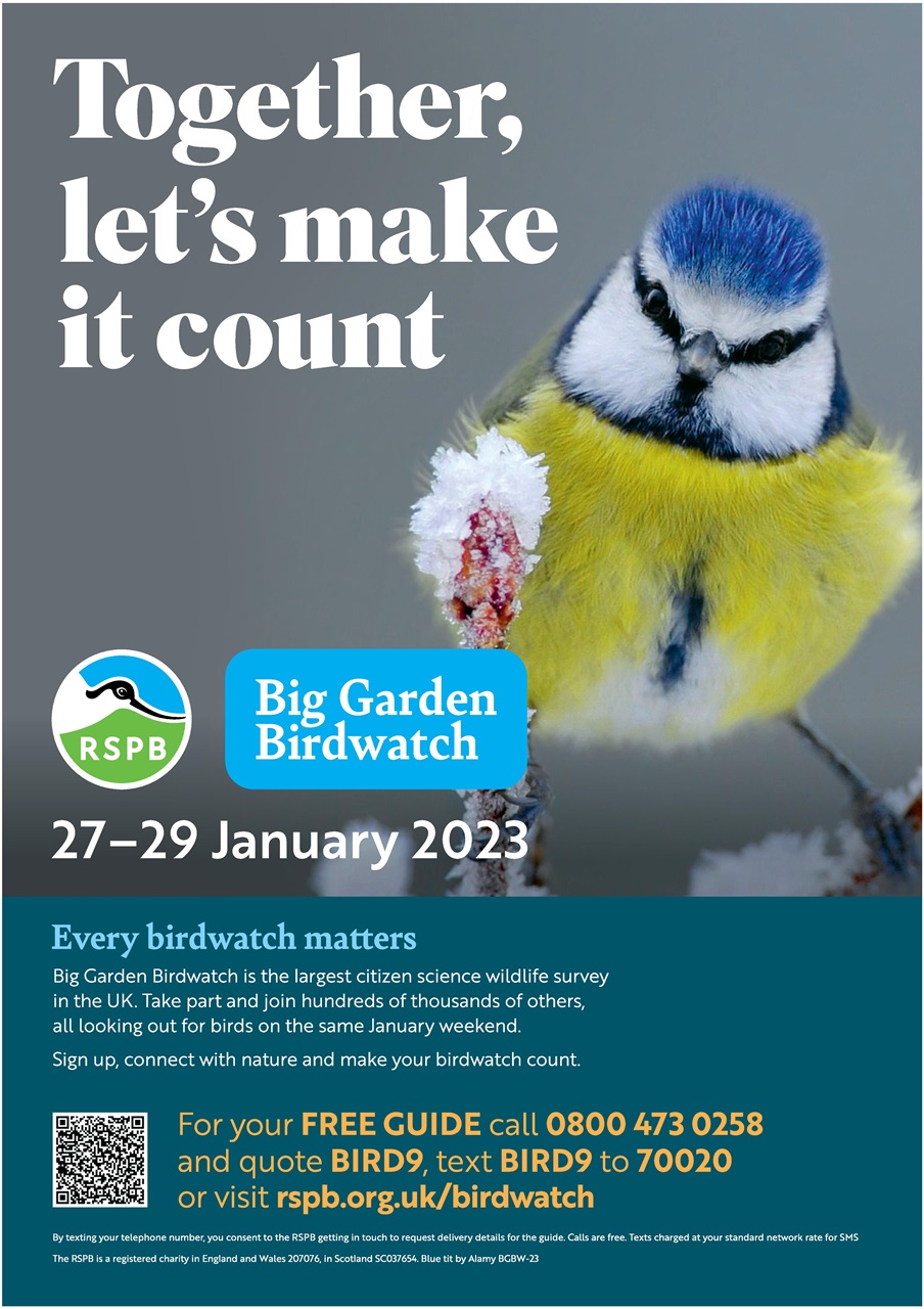 Private Eye Preview Pages