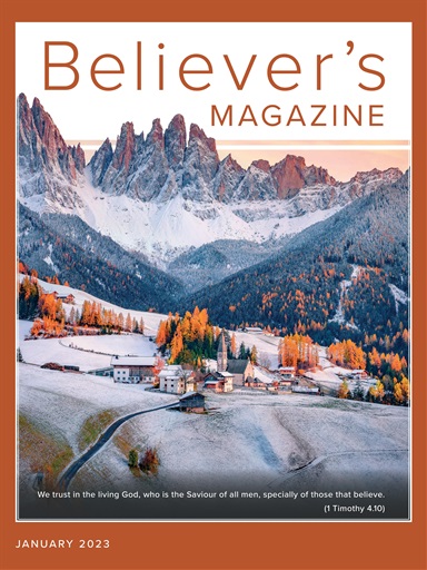 Believer Magazine issue 