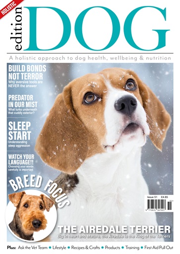 Edition Dog issue 