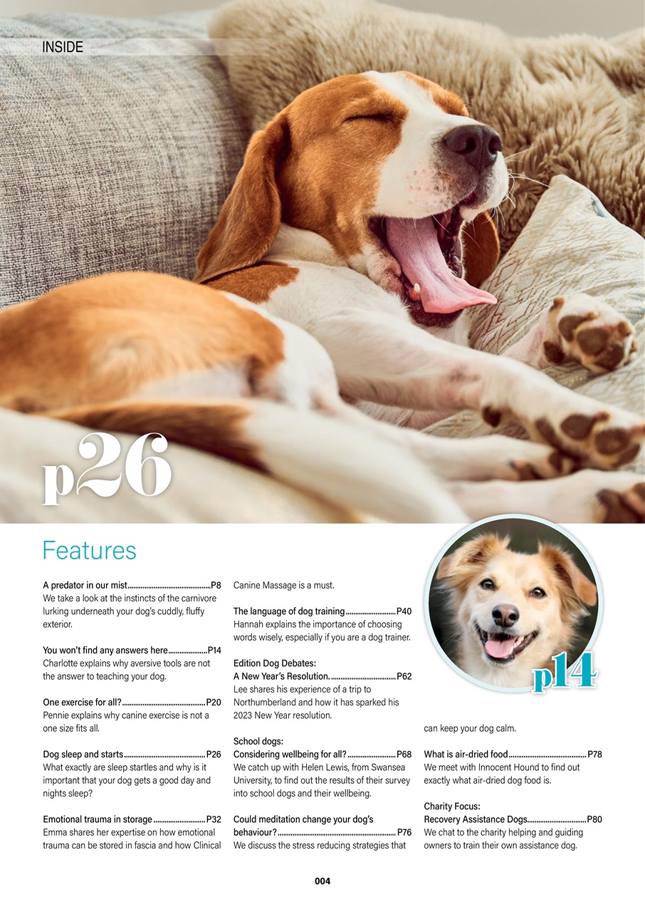 Edition Dog Preview Pages