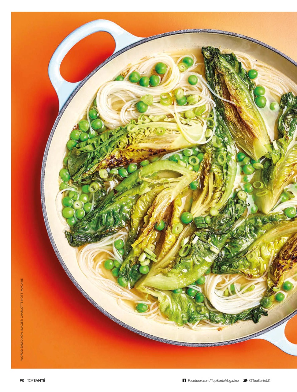 Top Sante Preview Pages