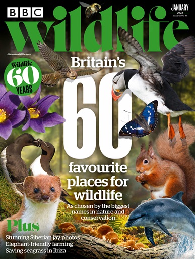 BBC Wildlife Magazine issue 