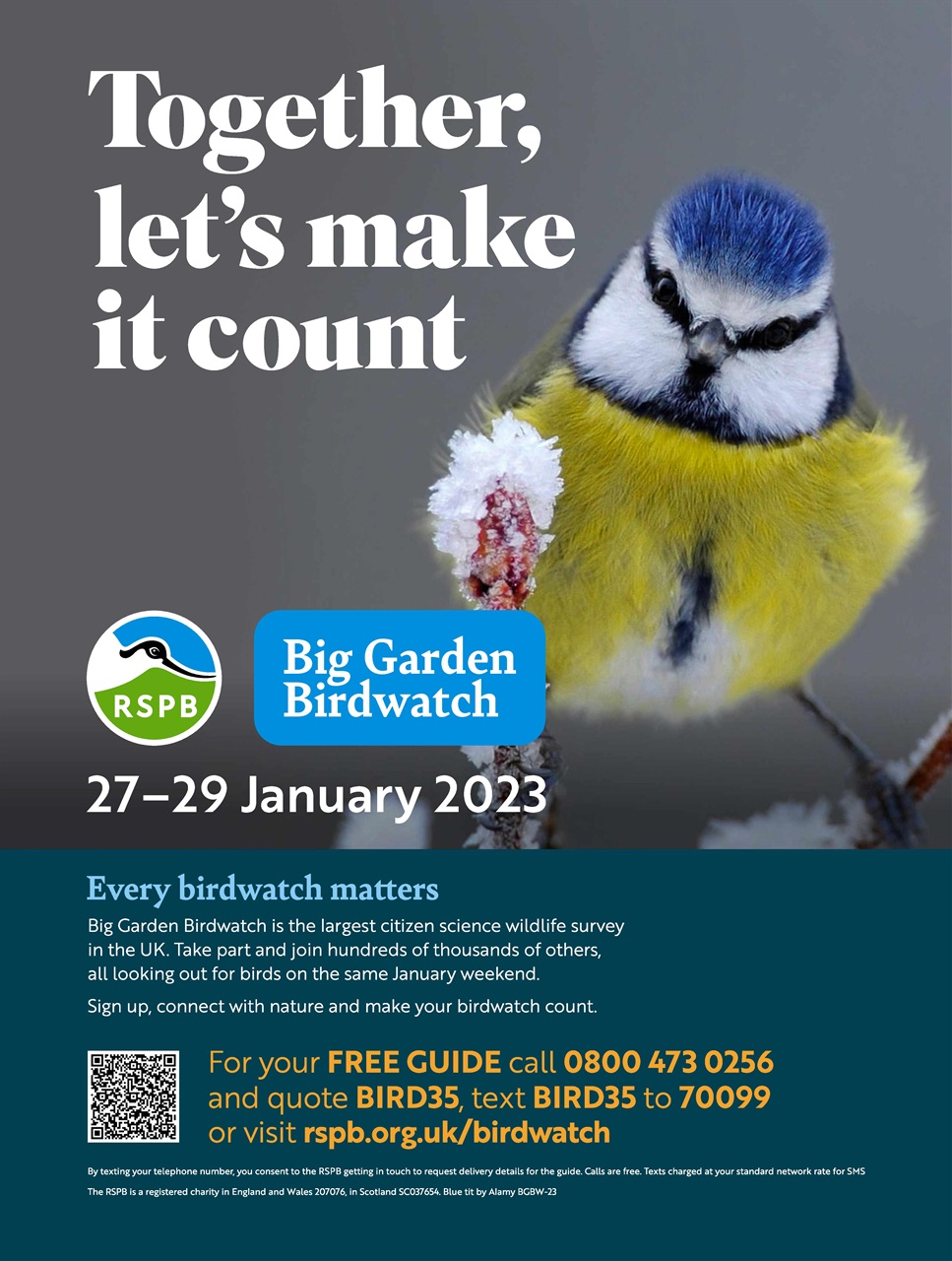 BBC Wildlife Magazine Preview Pages