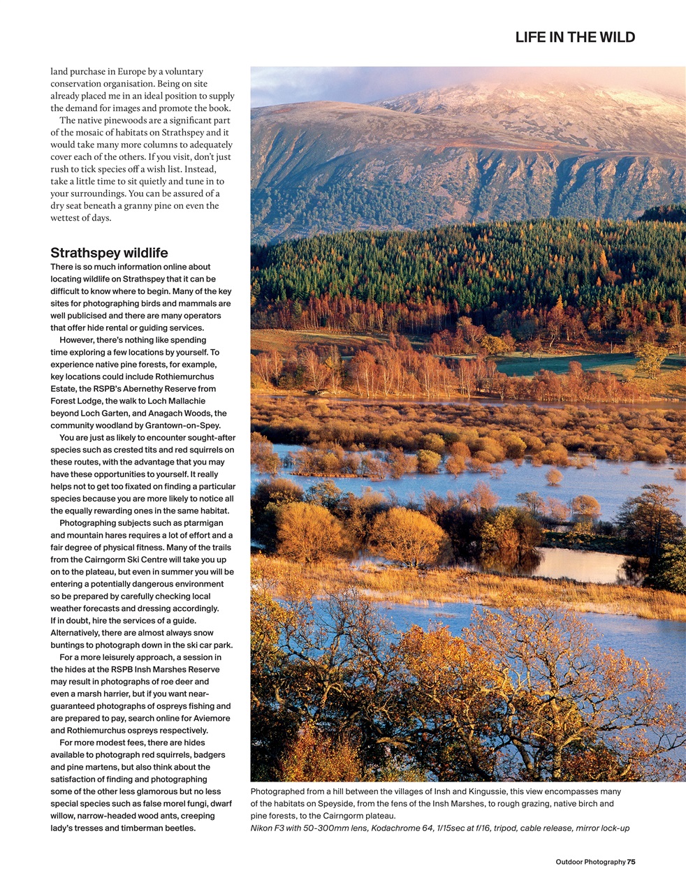 Outdoor Photography Preview Pages