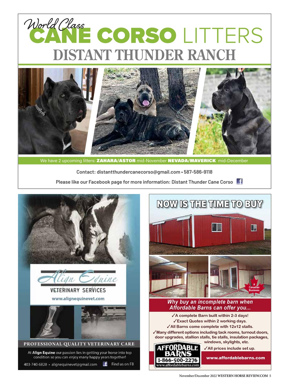 Western Horse Review Preview Pages