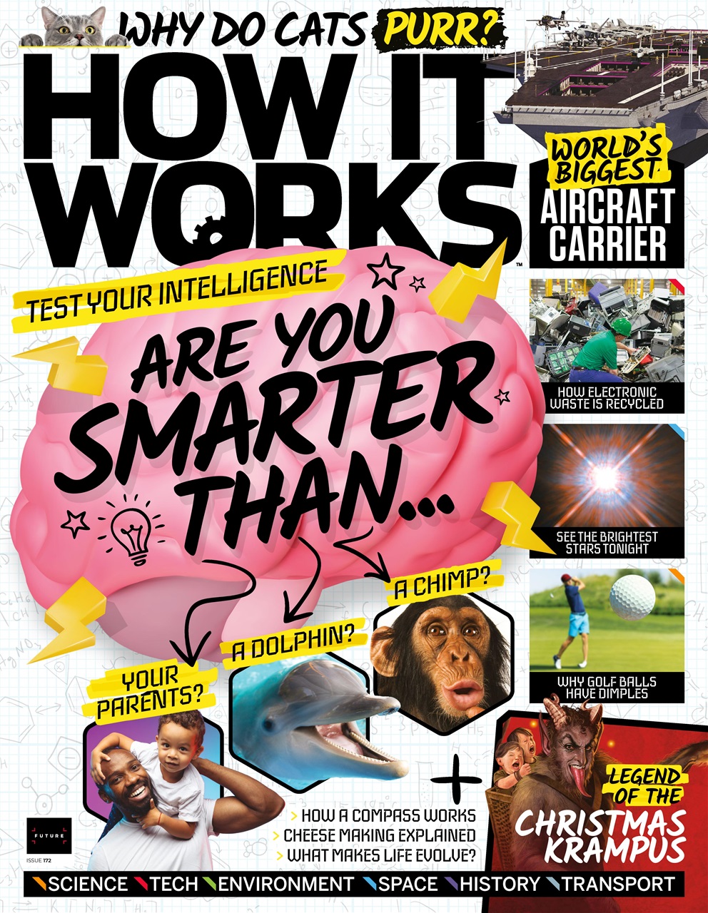 How It Works Preview Pages