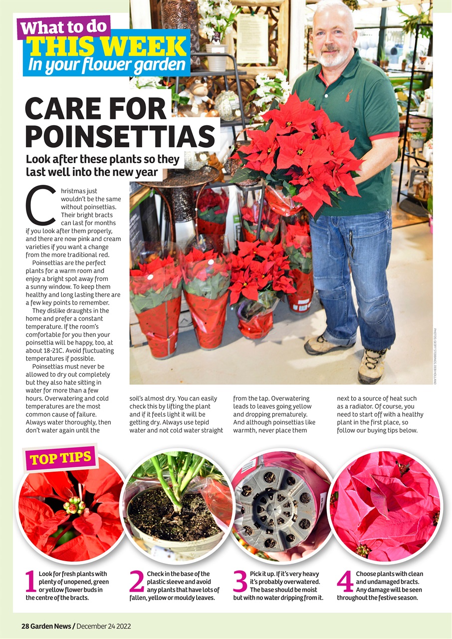 Garden News Preview Pages