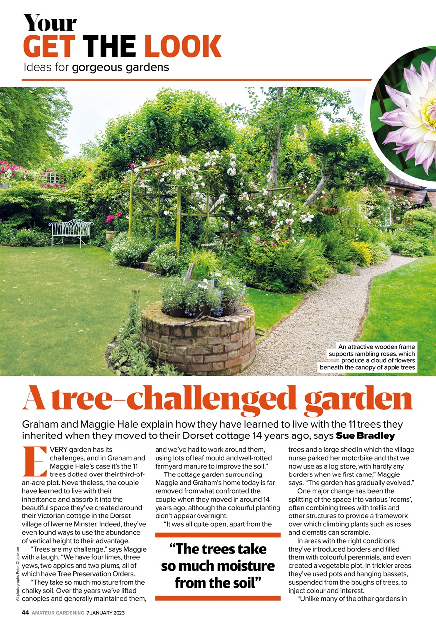 Amateur Gardening Preview Pages