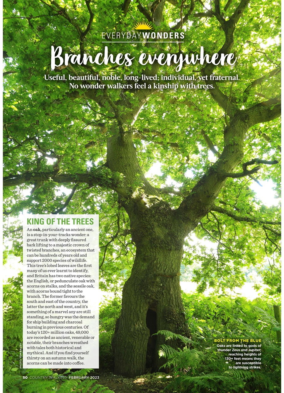 Country Walking Preview Pages