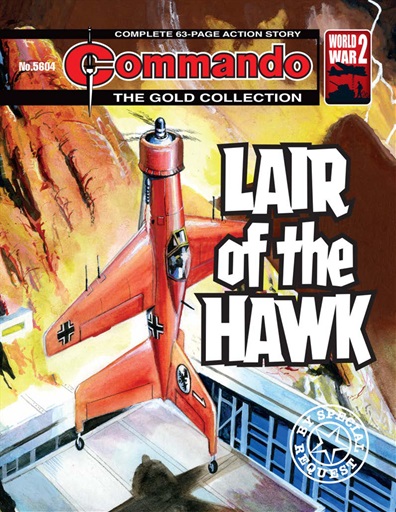 Commando issue 