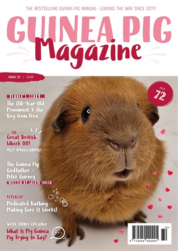 Guinea Pig Magazine issue 