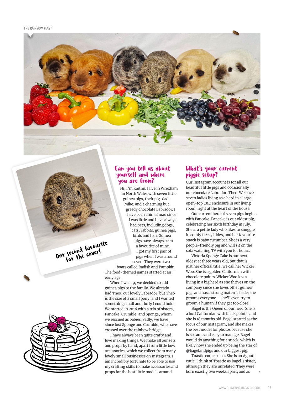 Guinea Pig Magazine Preview Pages