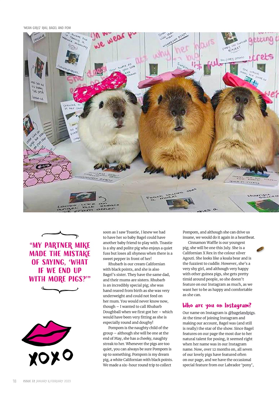Guinea Pig Magazine Preview Pages