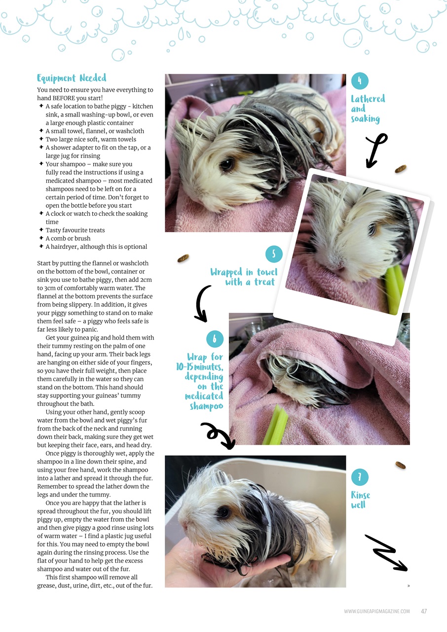 Guinea Pig Magazine Preview Pages