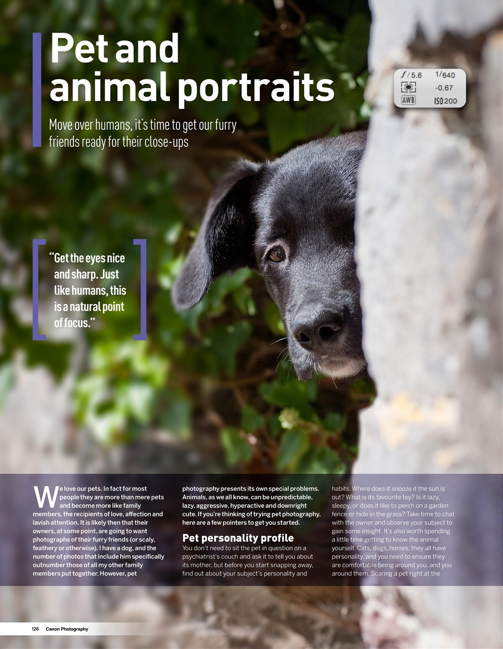 Canon Photography The Complete Manual Preview Pages