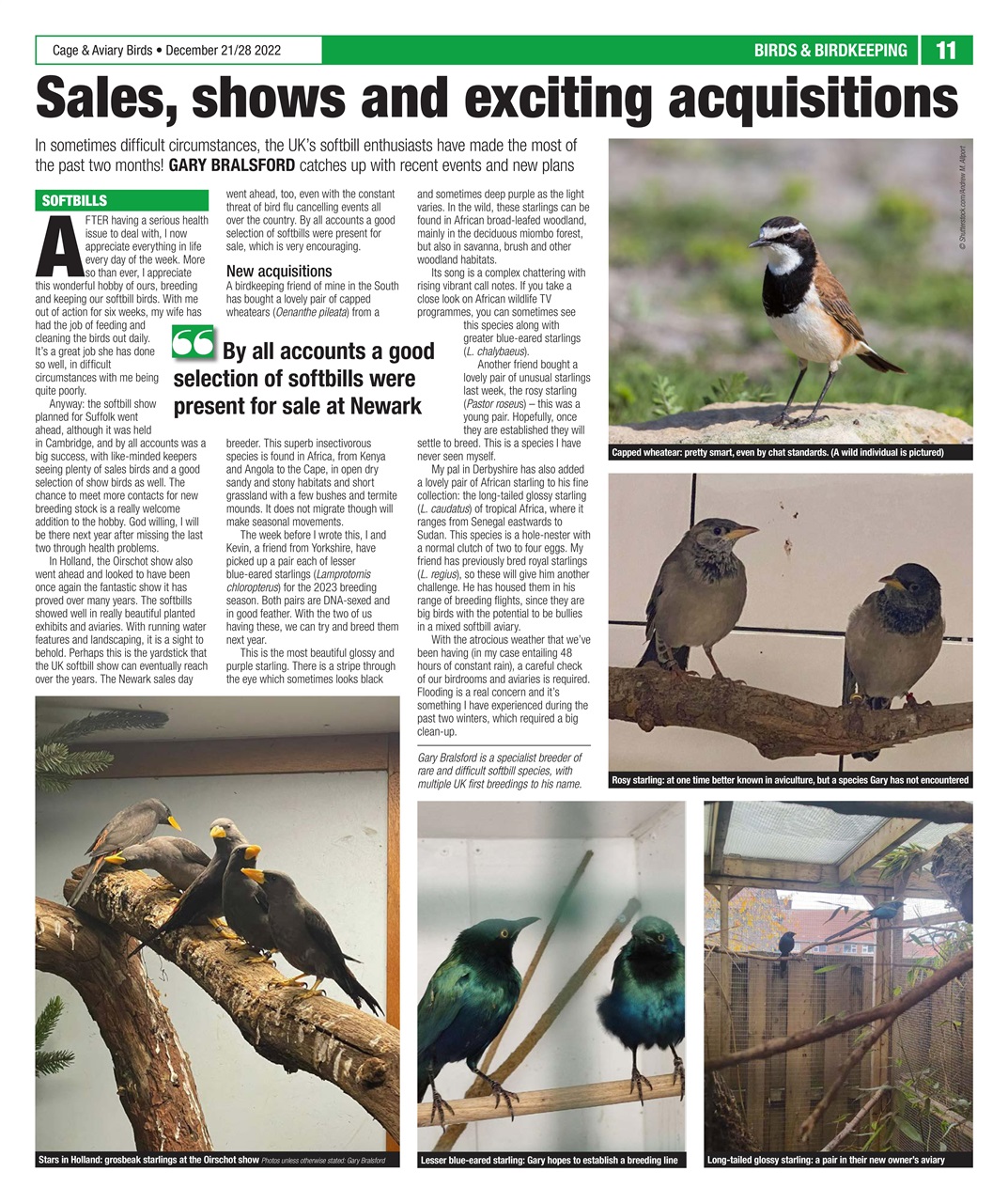 Cage & Aviary Birds Preview Pages