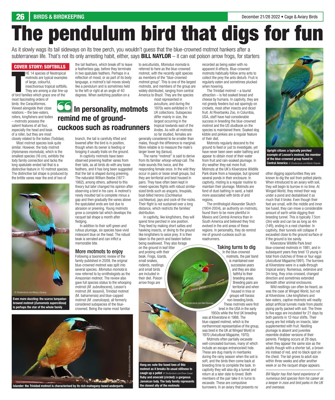 Cage & Aviary Birds Preview Pages