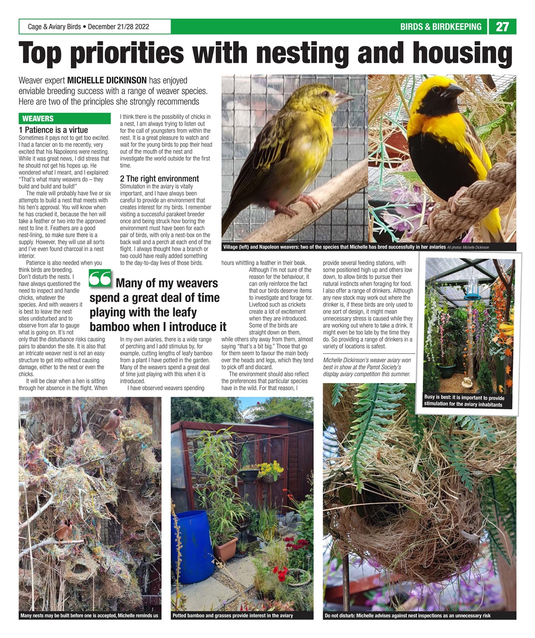 Cage & Aviary Birds Preview Pages