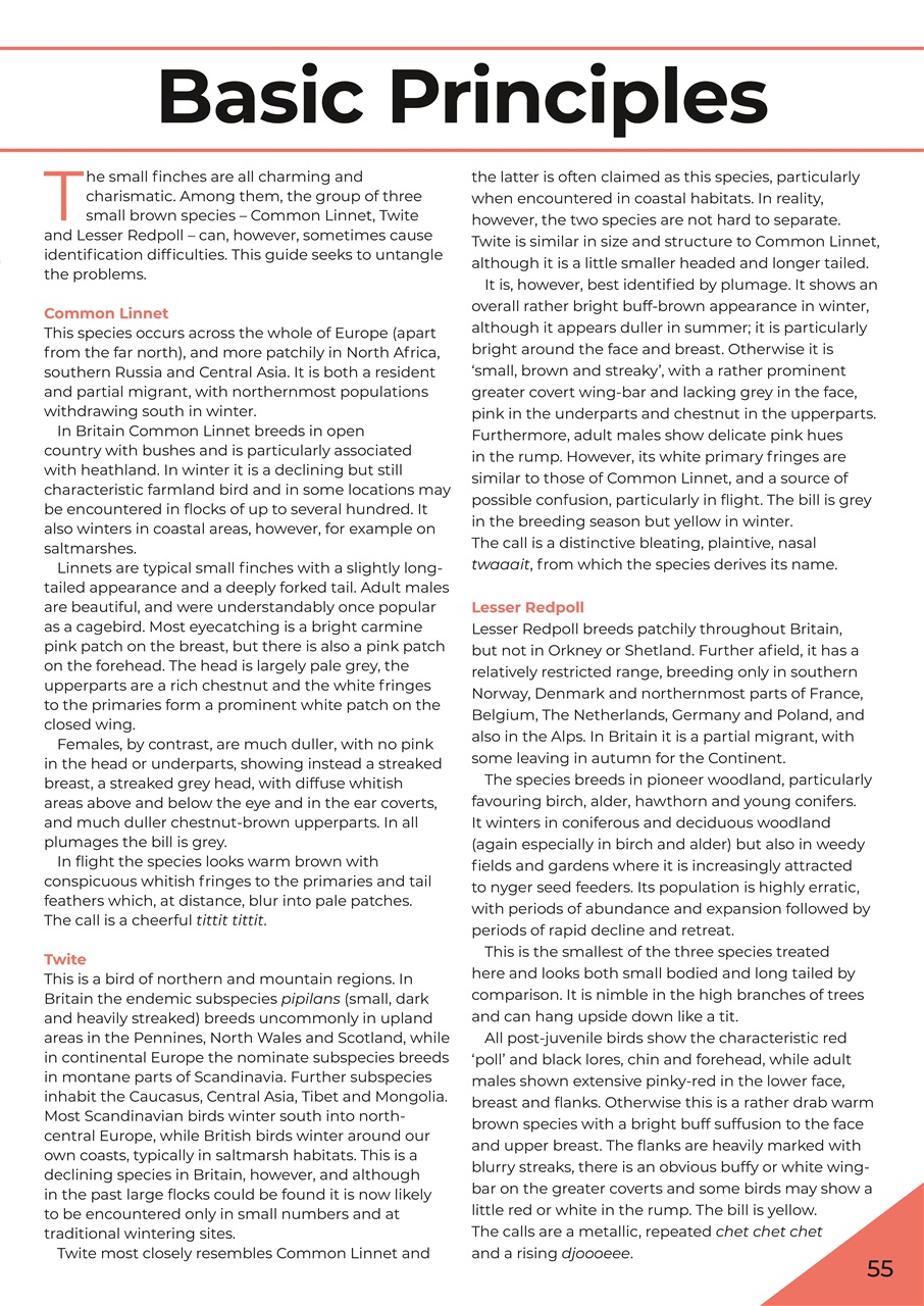 Birdwatch Magazine Preview Pages