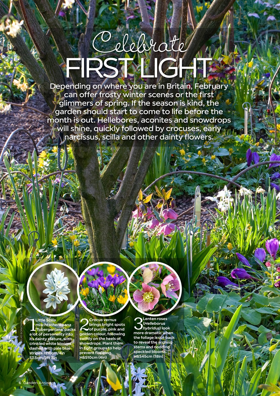Garden Answers Preview Pages