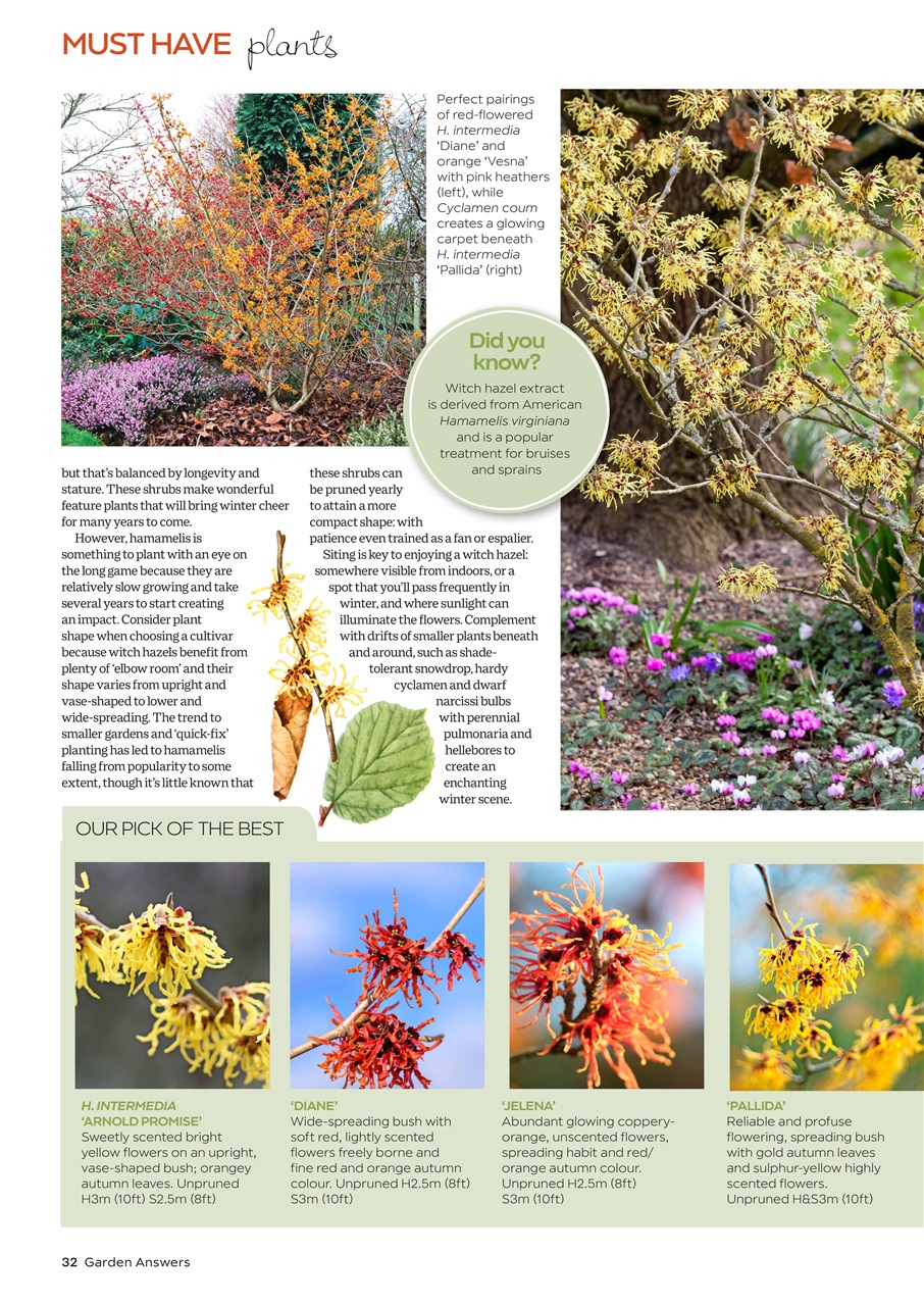 Garden Answers Preview Pages