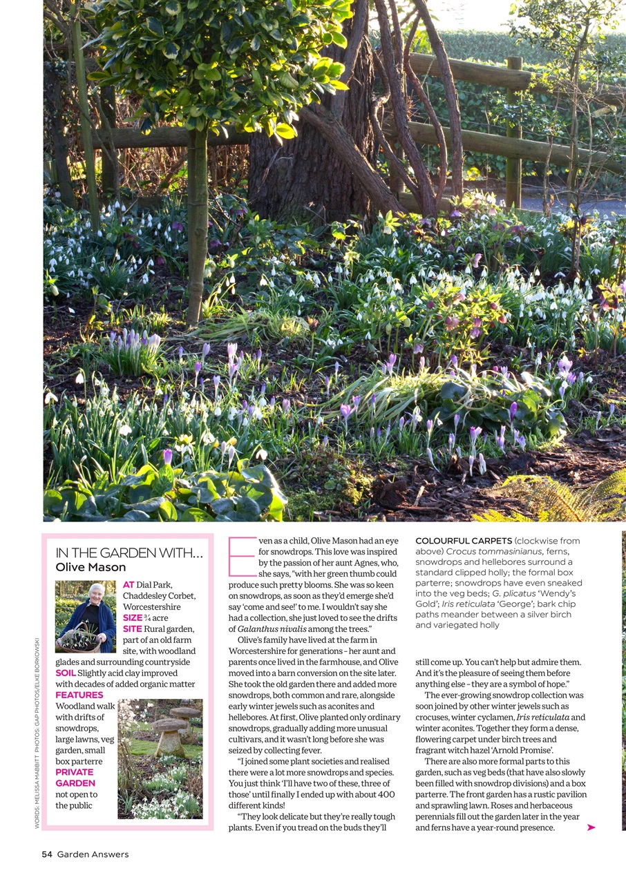 Garden Answers Preview Pages