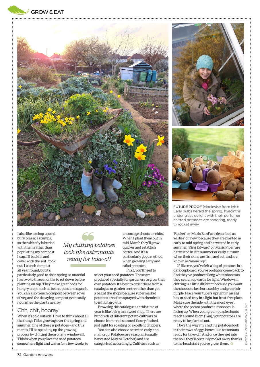 Garden Answers Preview Pages