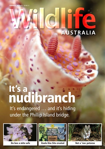 Wildlife Australia issue 