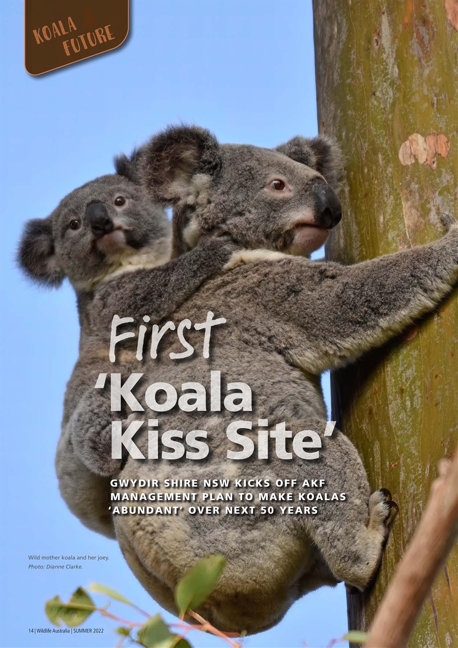Wildlife Australia Preview Pages