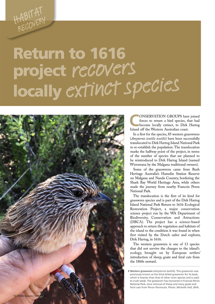 Wildlife Australia Preview Pages