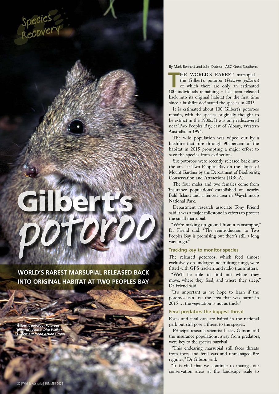 Wildlife Australia Preview Pages