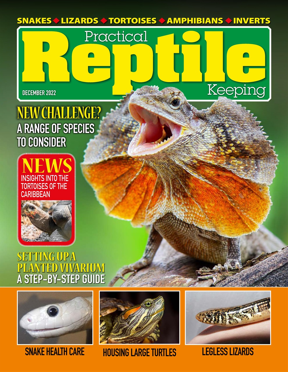 Practical Reptile Keeping Preview Pages