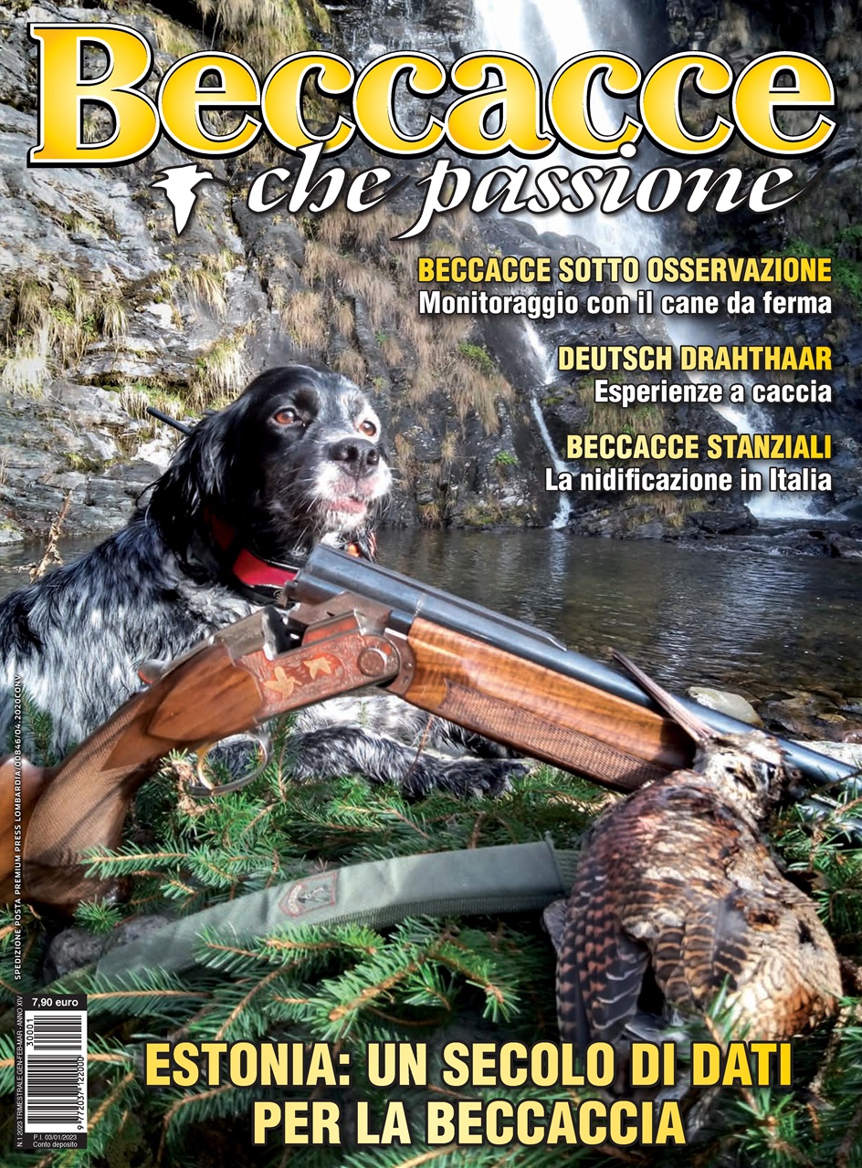 BECCACCE CHE PASSIONE Preview Pages