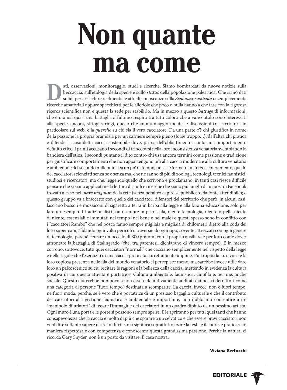 BECCACCE CHE PASSIONE Preview Pages