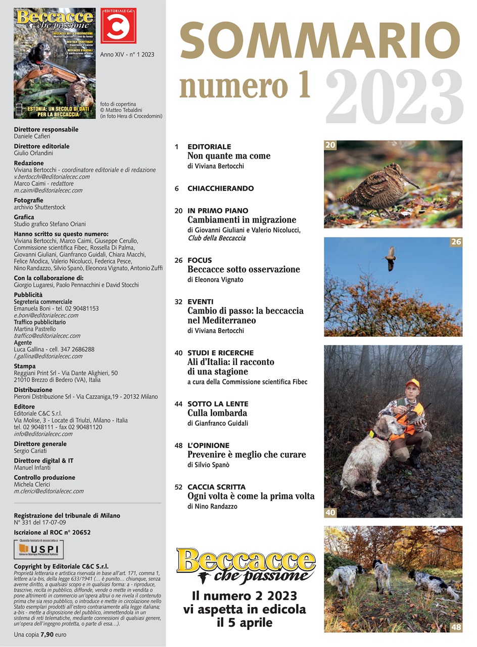 BECCACCE CHE PASSIONE Preview Pages