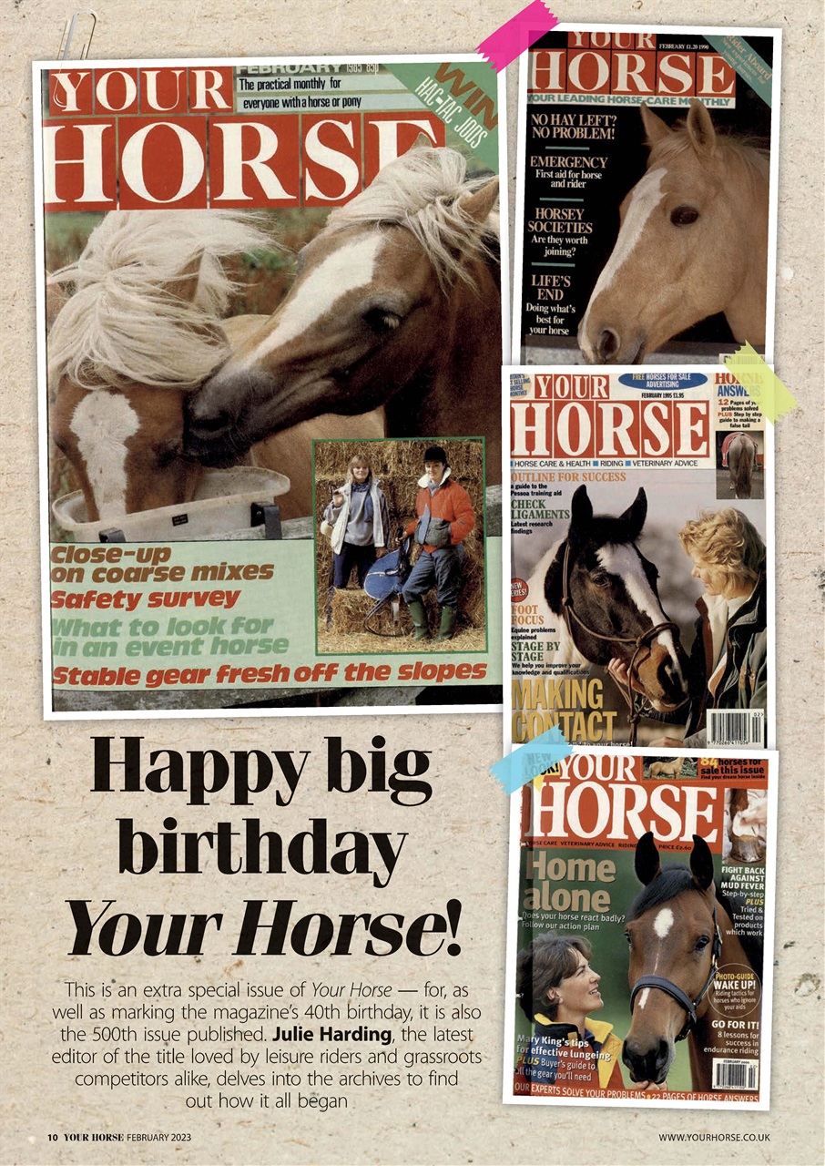 Your Horse Preview Pages