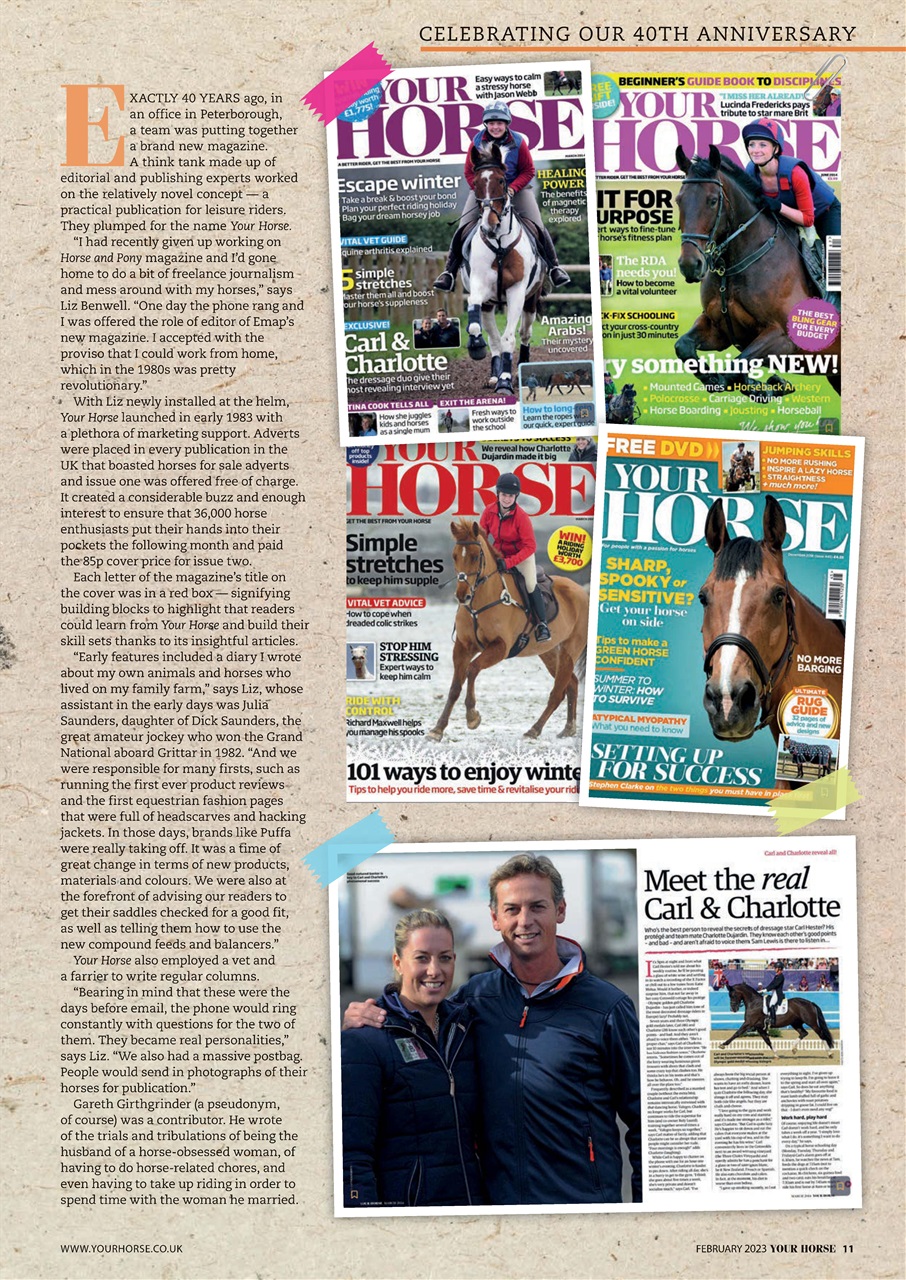 Your Horse Preview Pages