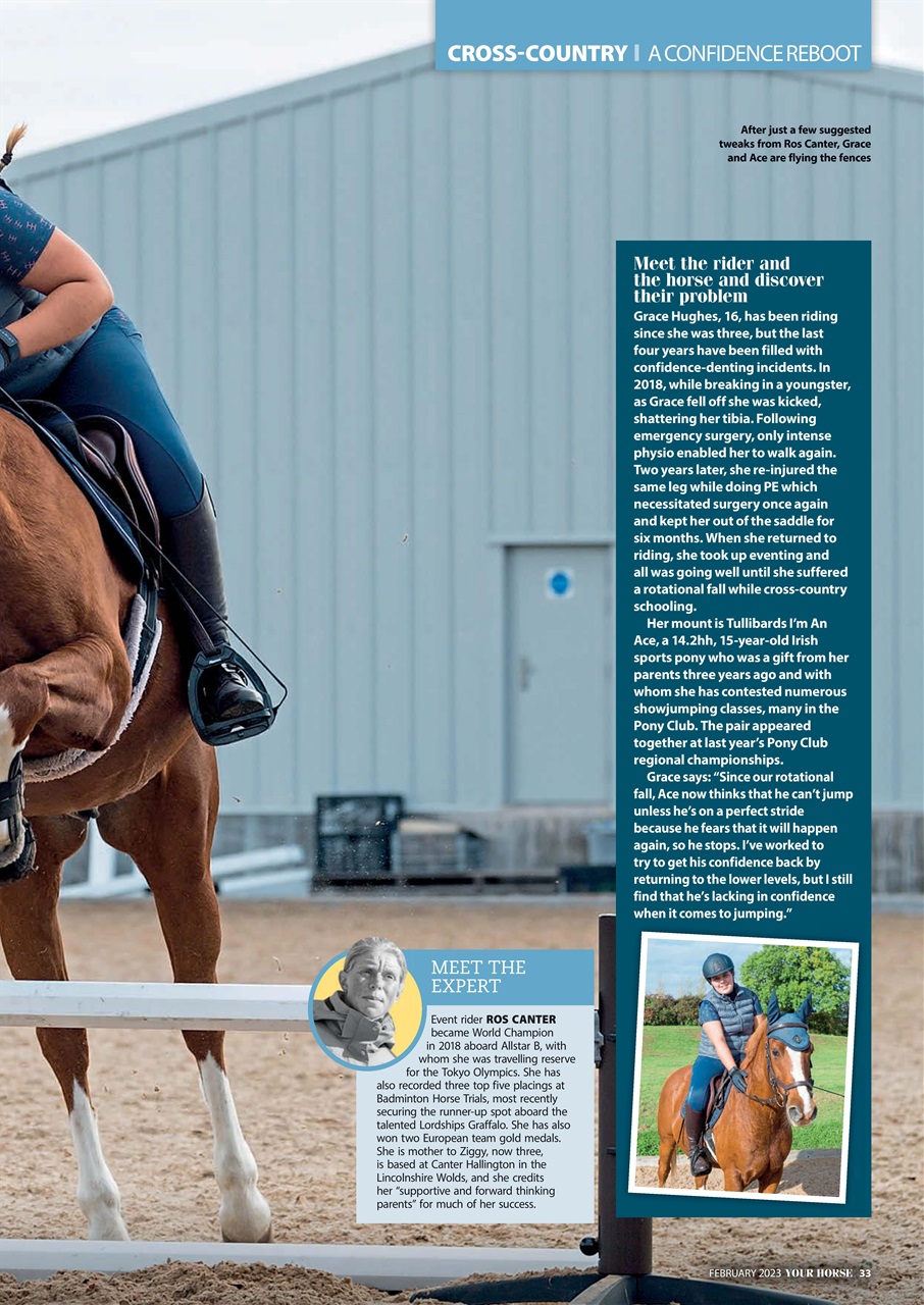 Your Horse Preview Pages