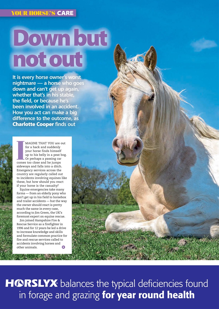 Your Horse Preview Pages